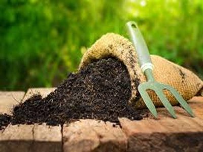 تصویر 4 از فروش کود بیولوژیک بایوفارم + قیمت خرید به صرفه